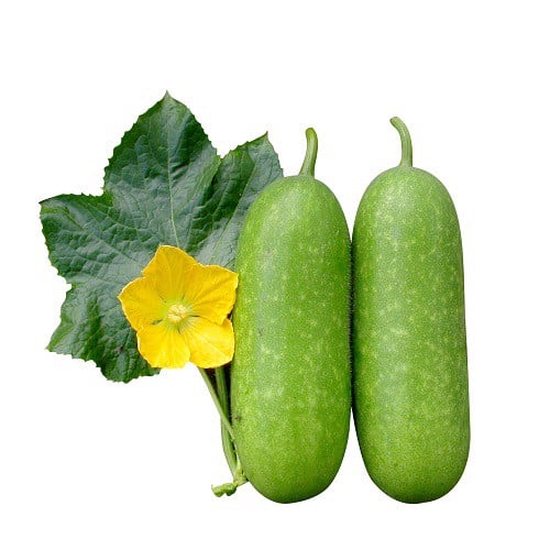 Bí xanh